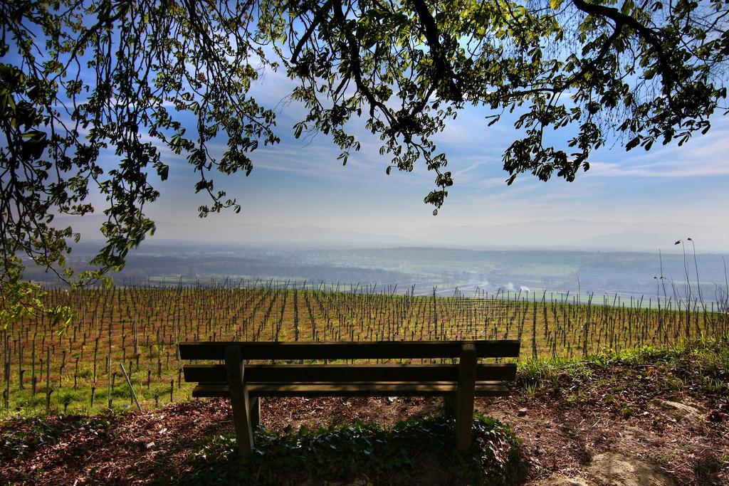 Kreuz-Post Hotel-Restaurant-Spa Vogtsburg im Kaiserstuhl Zewnętrze zdjęcie